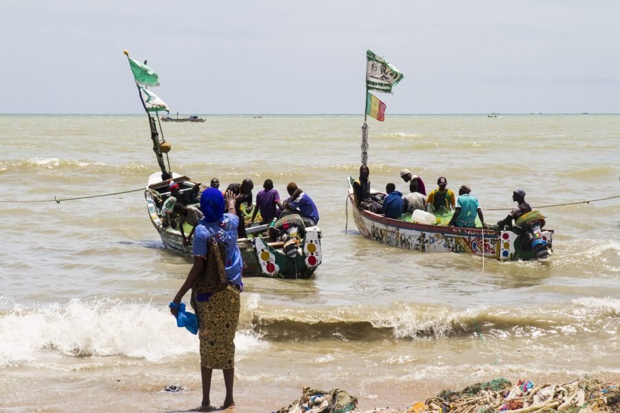 senegalt